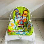 Pick n Nick Premium Newborn to Toddler 2-in-1 Portable Baby Rocker