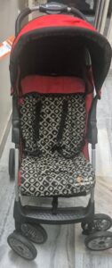 The Lil Wanderers Stroller (Used)