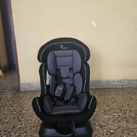 Sports Convertible Car Seat