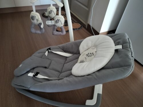 Joie Dreamer Baby Bouncer & Rocker