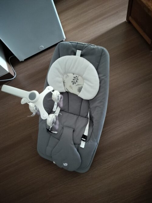 Joie Dreamer Baby Bouncer & Rocker
