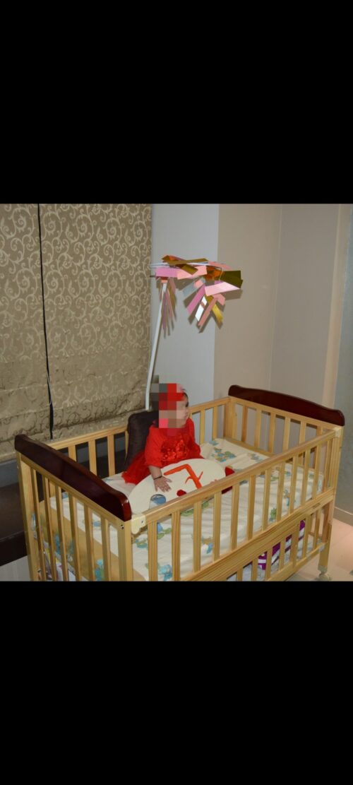 Babyhug Wooden Cot with Mattress
