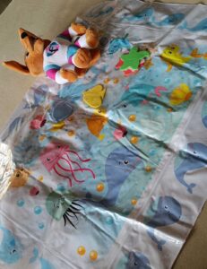 Combo of 2 Water Mats + One Plushie Toy