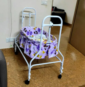 Babyhug Cozy Nest Cradle With Mosquito Net (Purple)