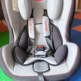 Luvlap Car Seat