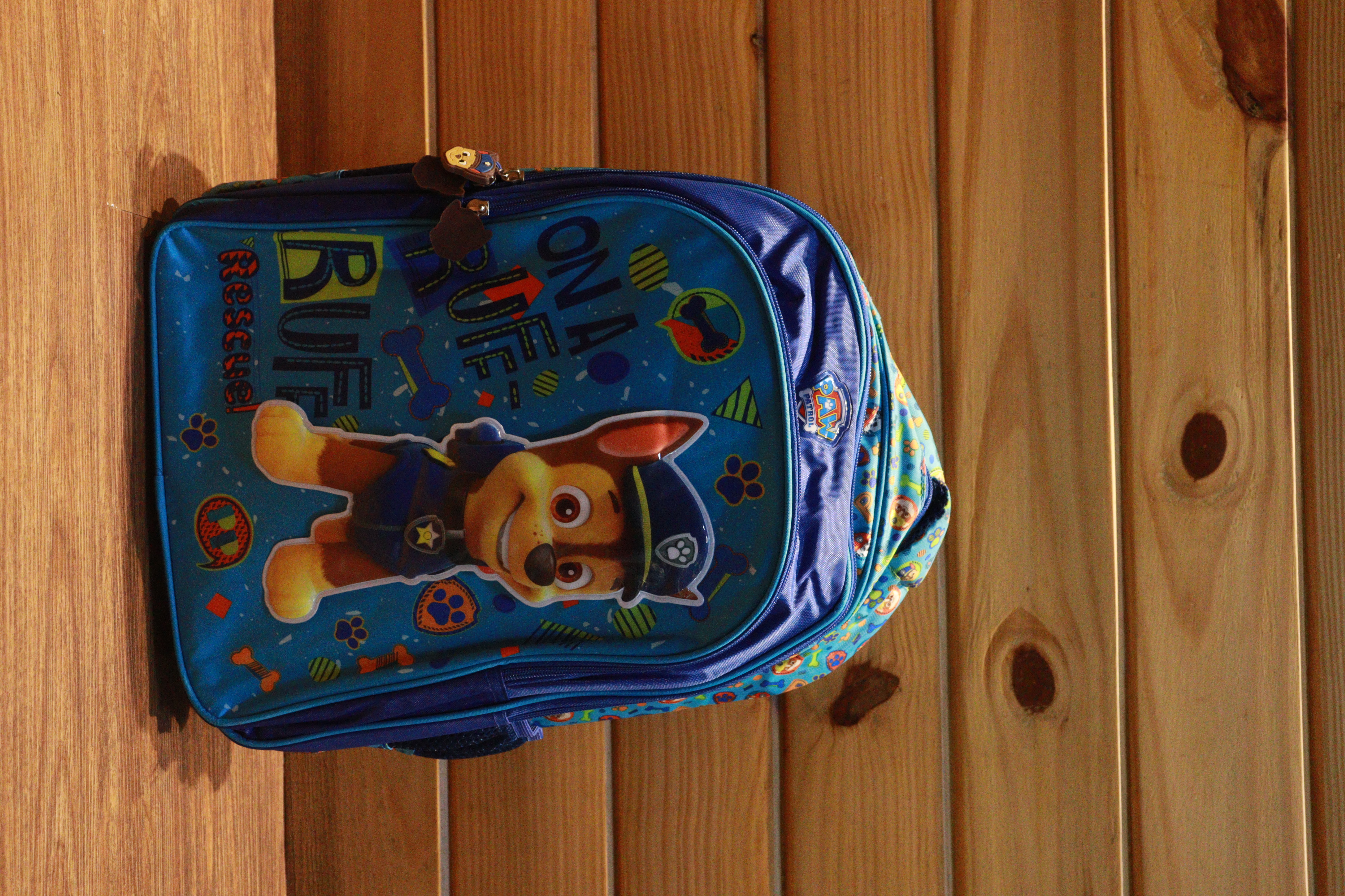 Paw Patrol Soft Bag