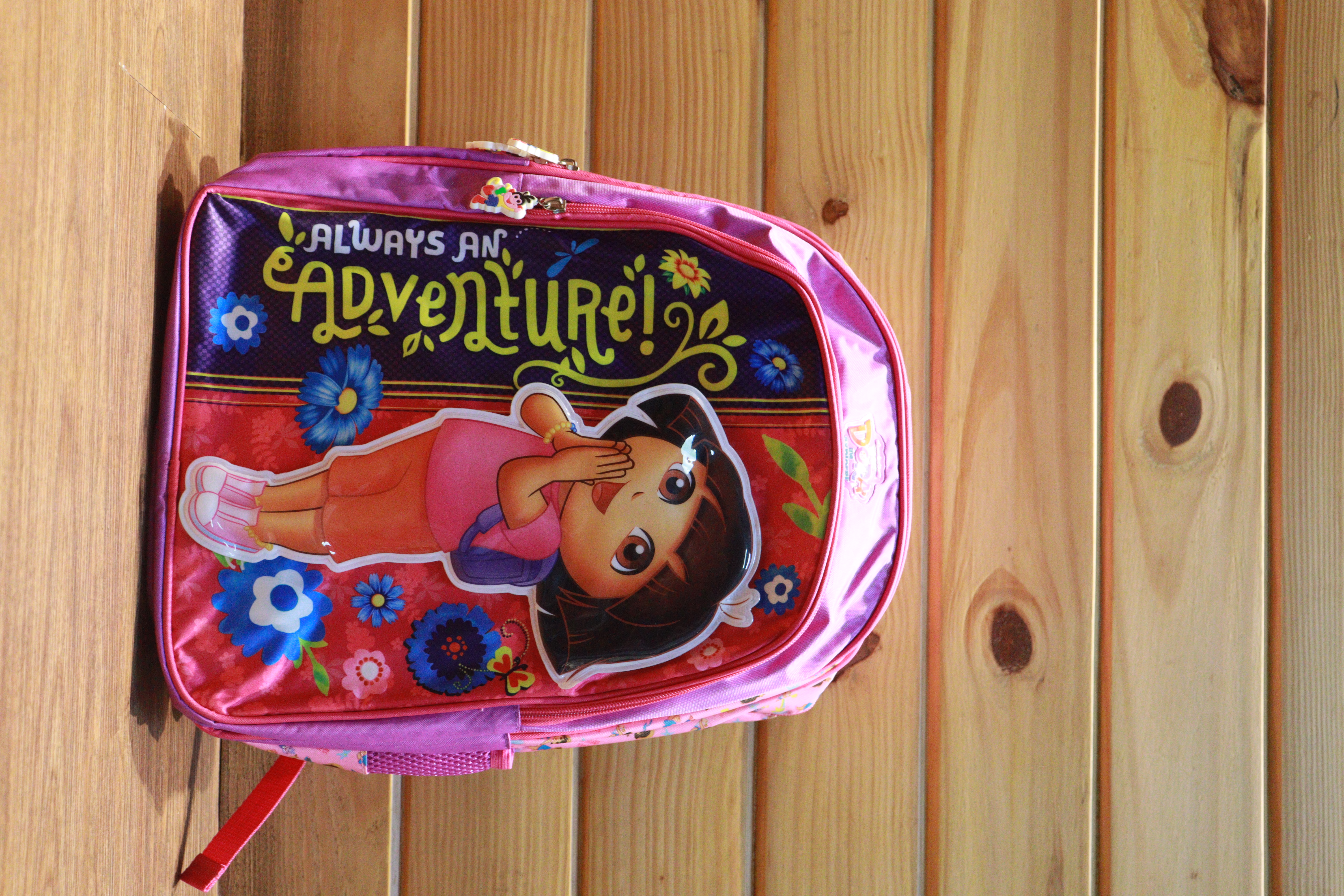 Dora Adventure Velcro School Bag