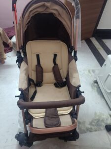 Star and Daisy Stroller