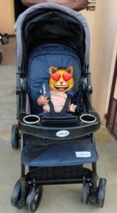 LuvLap Top Model Baby Stroller