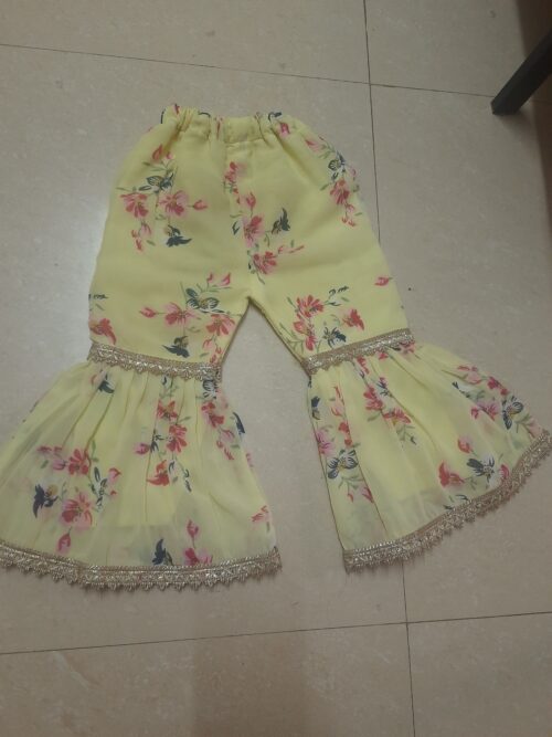 Beautiful sharara trending for girls