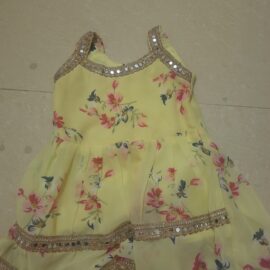 Beautiful sharara trending for girls