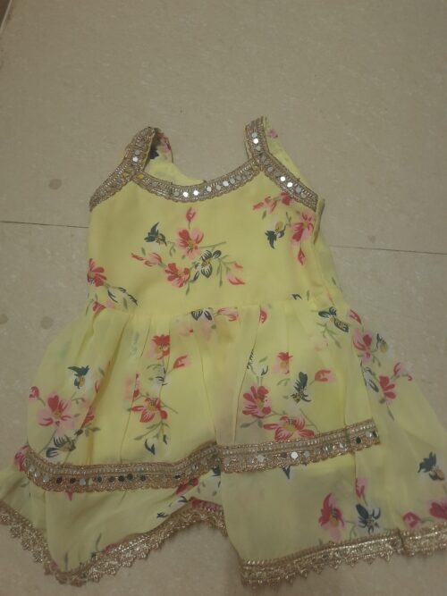 Beautiful sharara trending for girls