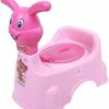 Potty Seat
