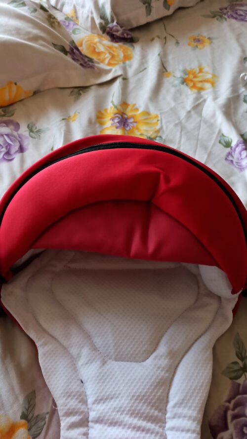 Chicco Baby Carrier