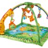 Fisher Price Play Matt