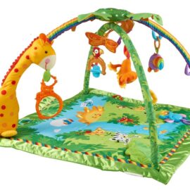 Fisher Price Play Matt