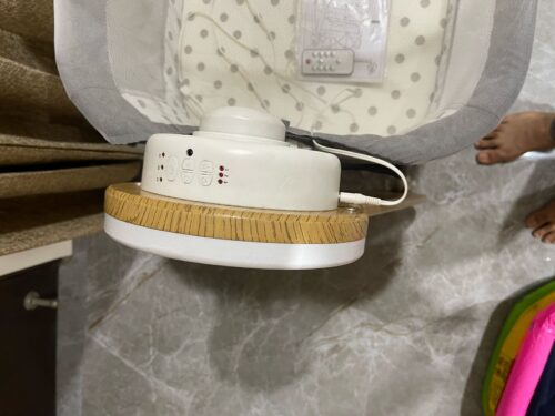 R for Rabbit Electric Cradle