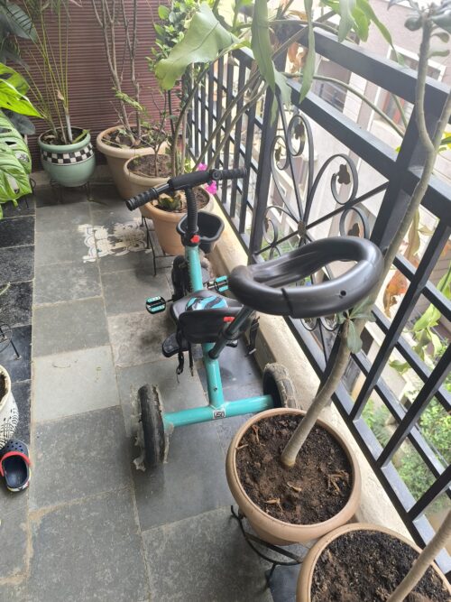 Kidsmate Junior Tricycle with Parental Control & Safety Belt – Sea Green | Easy to Assemble