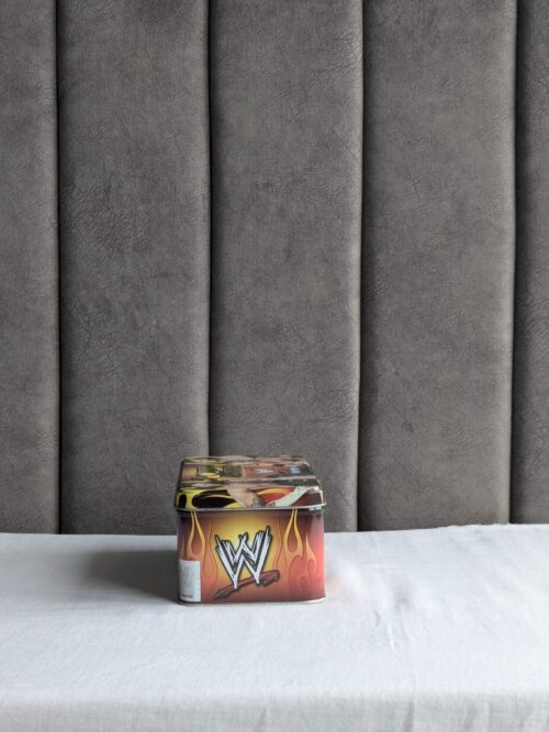 WWE Power Chipz Starter Kit