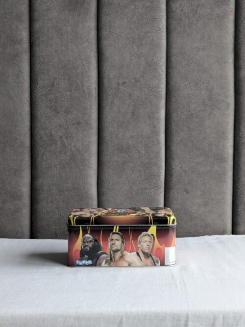 WWE Power Chipz Starter Kit