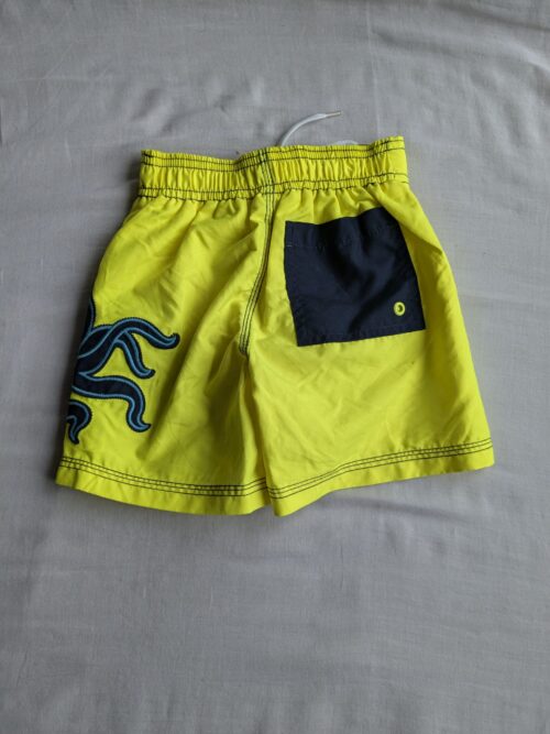 Swimwear Set with Full-Sleeve Shirt, Shorts, and Bottle