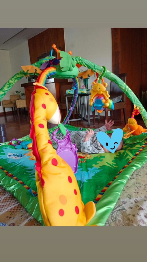 Fisher Price Play Matt