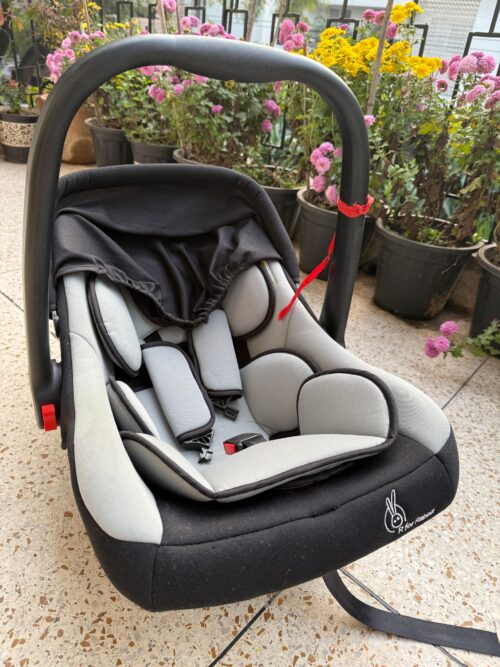 R for Rabbit Baby car seat