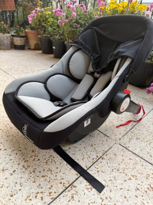 R for Rabbit Baby car seat