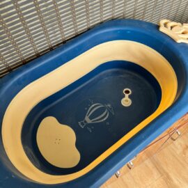 Babyhug Baby Bath Tub – Safe & Comfy Splashes for 0–3 Years