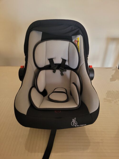Car seat / carry cot