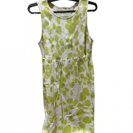 Westside Bombay Paisley Dress